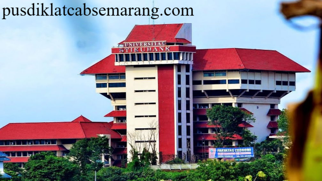 Menyelami Daya Tarik Perguruan Tinggi Stikubank Semarang