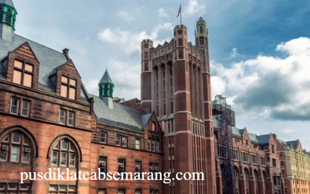 Mengapa Universitas di Belanda Jadi Tujuan Favorit Mahasiswa Internasional